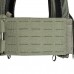 Tasmanian Tiger Plate Carrier QR LC IRR